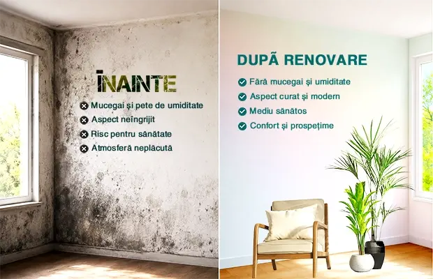 Mucegai pe pereți: cauze, eliminare, prevenire | Emex